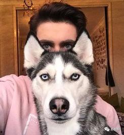 二哈吃瓜娱乐圈百度云,娱乐圈风云录