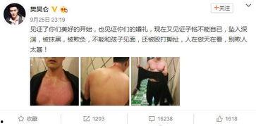 娱乐圈吃瓜熊姐是谁,揭秘幕后真相与热门事件