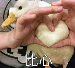 娱乐吃瓜酱鸭鸭,揭秘娱乐圈那些鲜为人知的幕后故事