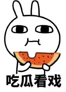 娱乐吃瓜酱点外卖